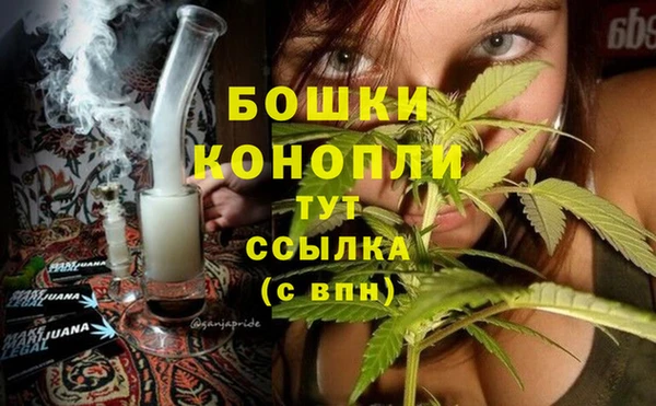 бутират Нестеровская