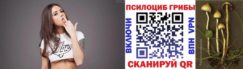 Галлюциногенные грибы мухоморы  blacksprut сайт  Невель 